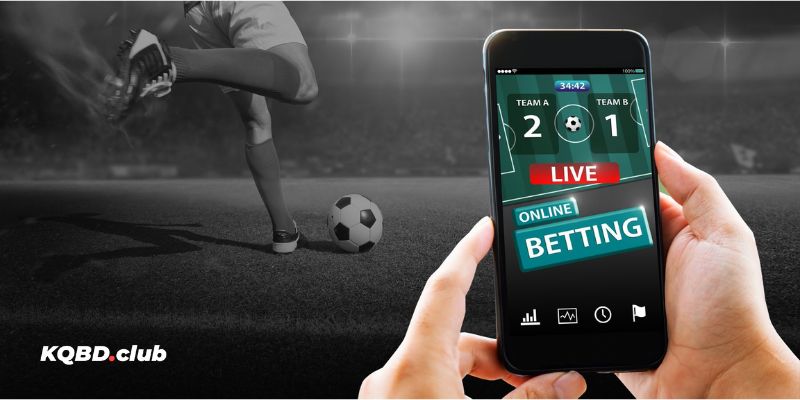 Tim nha cai ca cuoc can luu y gi KQBD.club