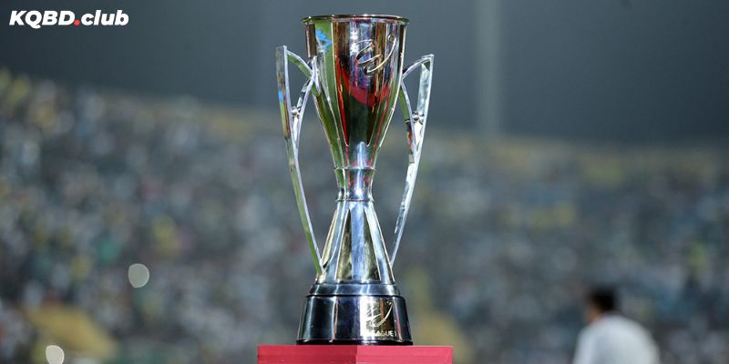 Các giải đấu quốc nội Việt Nam